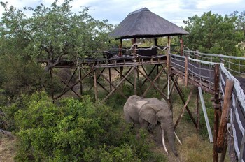 Ezulwini Lodges