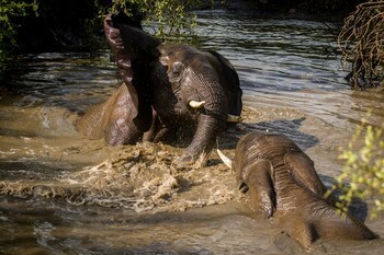 Ezulwini Lodges