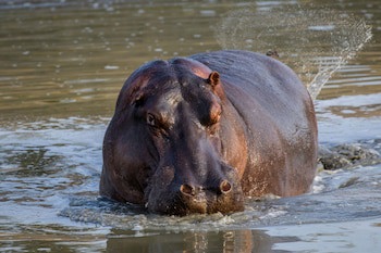 Ezulwini Lodges