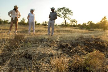 Ezulwini Lodges