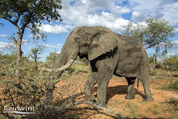 Ezulwini Lodges