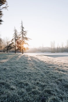 Donnington Grove Country Club