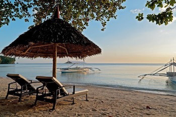 Easy Diving And Beach Resort