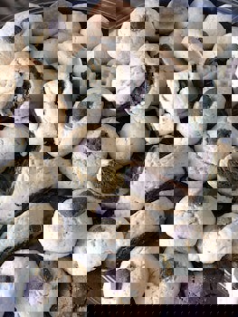 Albatros Hagia Sophia - Special Class