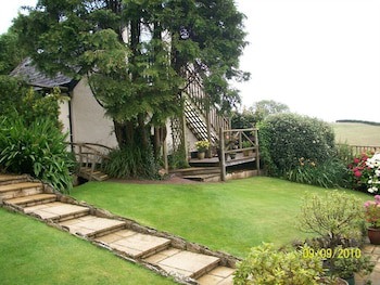 Frogwell