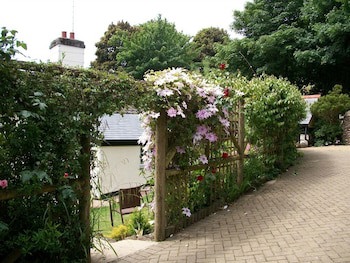 Frogwell