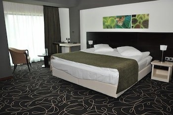 Hotel Orizont