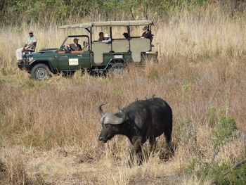 Mongena Game Lodge