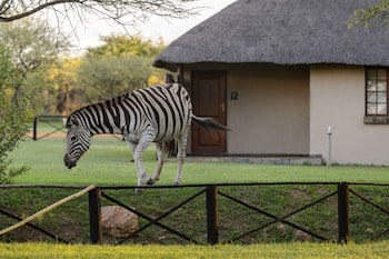 Mongena Game Lodge