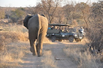 Mongena Game Lodge
