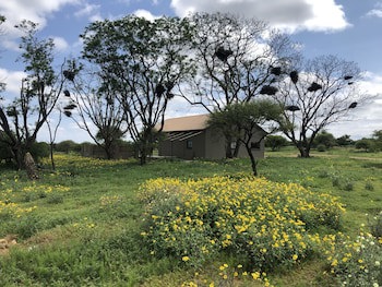 Mongena Game Lodge