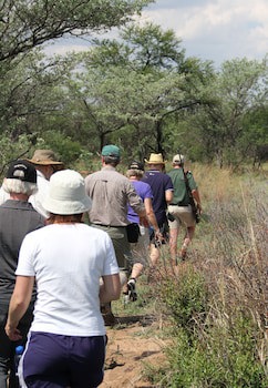 Mongena Game Lodge