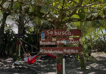 Hotel El Icaco Tortuguero