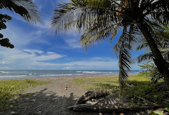 Hotel El Icaco Tortuguero