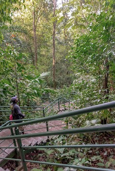 Hotel El Icaco Tortuguero