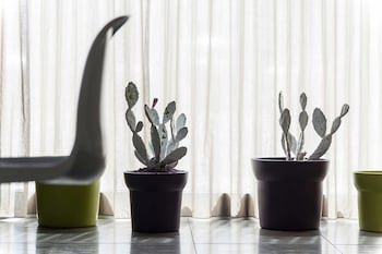 8Piuhotel galeri fotoğrafı