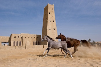 Taziry Ecolodge & Sustainable Village