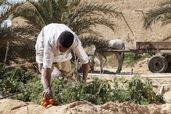 Taziry Ecolodge & Sustainable Village