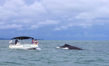 Bocas Del Mar Hotel