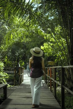 Kin Balam Cabanas