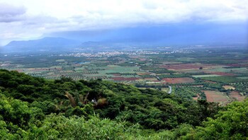 Punarjani Ayurvedic Resorts