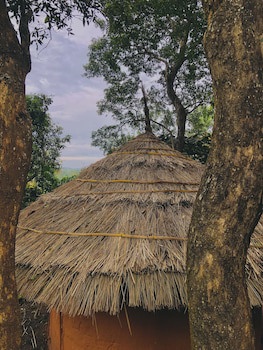 Punarjani Ayurvedic Resorts