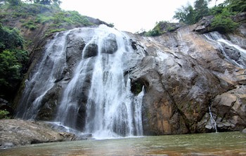 Punarjani Ayurvedic Resorts