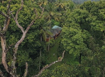 Punarjani Ayurvedic Resorts