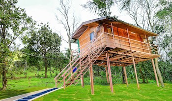 Punarjani Ayurvedic Resorts