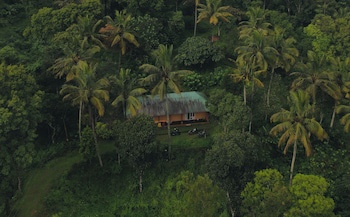 Punarjani Ayurvedic Resorts