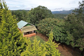 Punarjani Ayurvedic Resorts