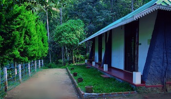 Punarjani Ayurvedic Resorts
