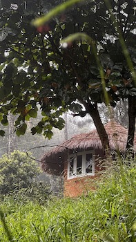 Punarjani Ayurvedic Resorts