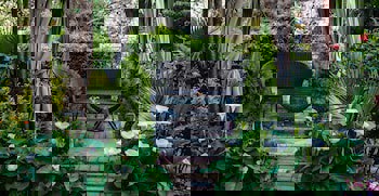 Symbola Bosphorus Istanbul