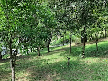 Chaweng Park Place