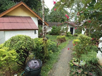Faye Orchid Resort