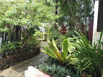 Faye Orchid Resort