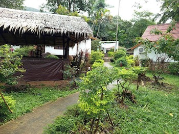 Faye Orchid Resort