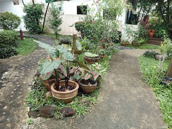 Faye Orchid Resort