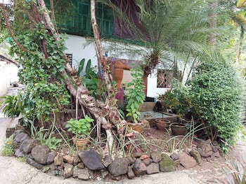 Faye Orchid Resort