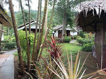 Faye Orchid Resort