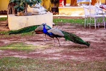 Anuraag Villa