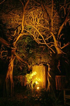 Emdoneni Lodge