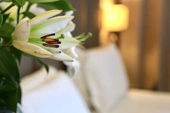 Klima Hotel Milano Fiere galeri fotoğrafı