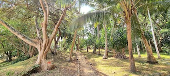 Mbweni Ruins & Gardens