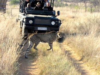 57 Waterberg Lodge
