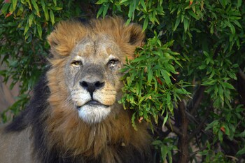 57 Waterberg Lodge