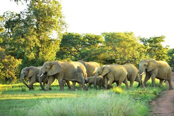 57 Waterberg Lodge