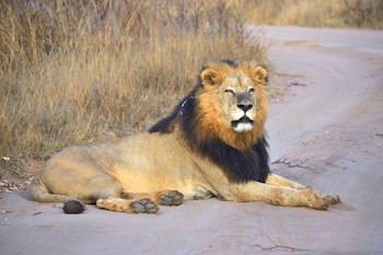 57 Waterberg Lodge