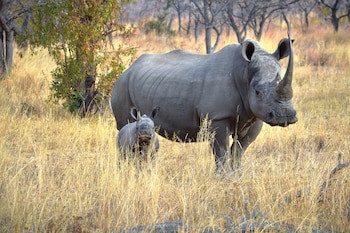 57 Waterberg Lodge